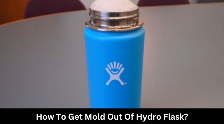 How To Get Mold Out Of Hydro Flask